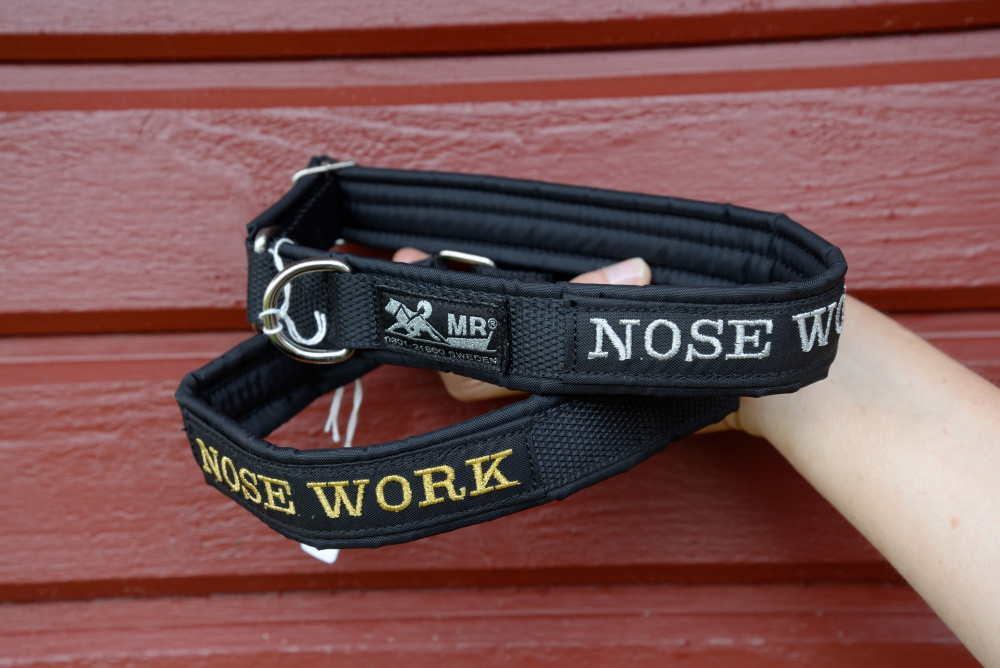 Halsband med text Nosework