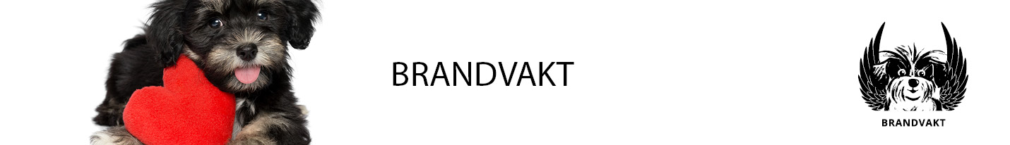 DETTA ÄR BRANDVAKT